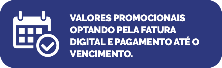 INFOS 300